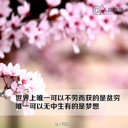 9句话送给期待成功的你 (9)
