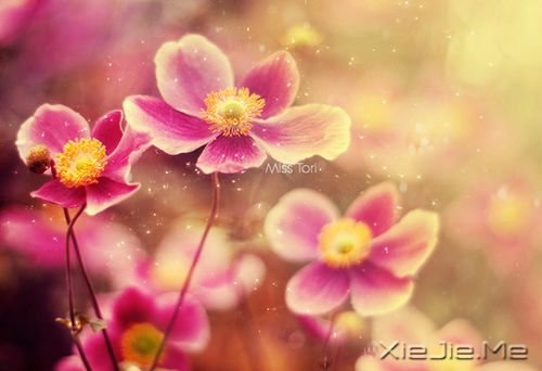 若现在就觉得失望无力，未来那么远你该怎么扛 (3)