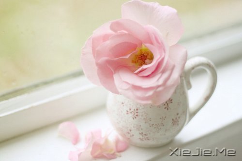 把日子过成诗，简单而精致 (3)