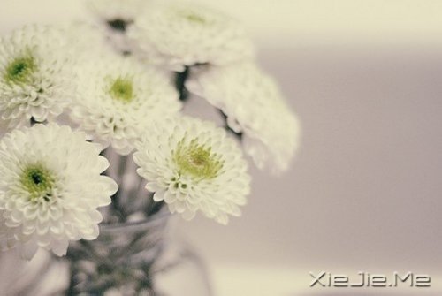 把日子过成诗，简单而精致 (4)