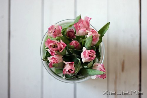把日子过成诗，简单而精致 (7)