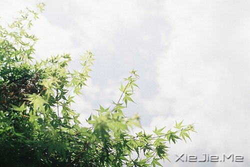 世事自有安排，我们只需顺其自然 (6)