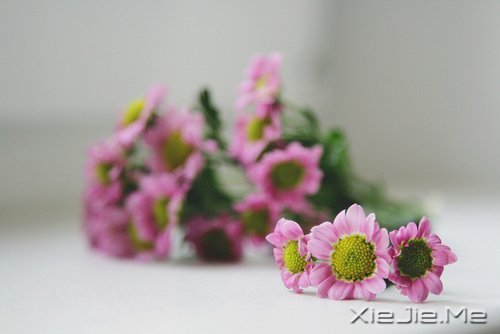 早安心语：如果时间可以倒退，一切也就不再珍贵 (6)