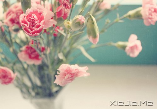 早安心语：如果时间可以倒退，一切也就不再珍贵 (10)