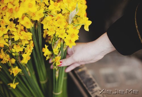 早安心语：如果时间可以倒退，一切也就不再珍贵 (11)