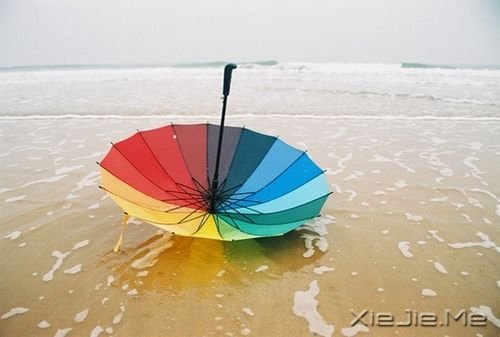 早安心语：若要梦想实现，先从梦中醒来 (3)