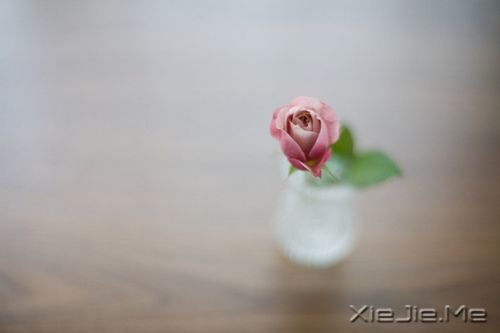 早安心语：若要梦想实现，先从梦中醒来 (4)
