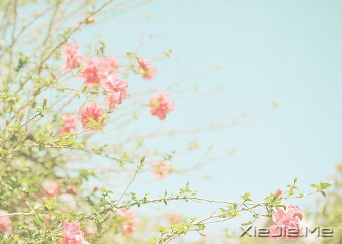 晚安心语：身在万物中，心在万物上 (2)