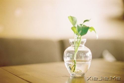 晚安心语：朋友重要的不是数量，而是质量 (1)
