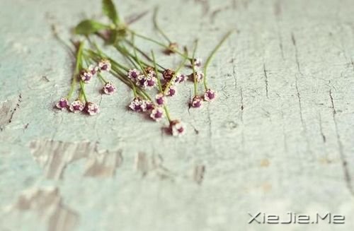 早安心语：情绪可以控制，但眼泪不会撒谎 (3)