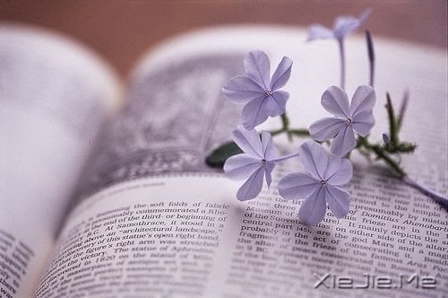 早安心语：挨得住多深的诋毁，就经得住多大的赞美 (8)