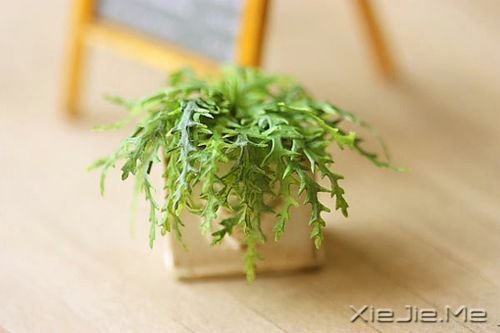 晚安心语：跟随自己的心，而不是随波逐流 (1)