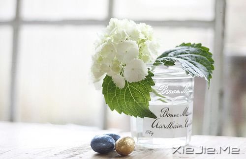 晚安心语：跟随自己的心，而不是随波逐流 (2)