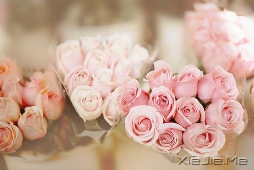 早安心语：永远面朝阳光，阴影就会被甩到后面 (4)