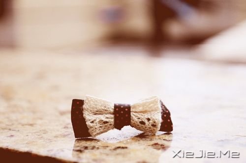 早安心语：永远面朝阳光，阴影就会被甩到后面 (5)