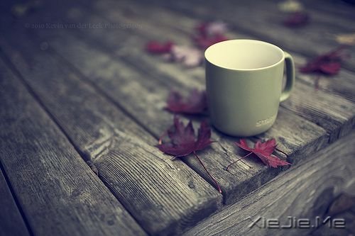 早安心语：生活不是林黛玉，不会因为忧伤而风情万种 (9)