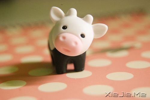 早安心语：永远面向阳光，这样你就看不见阴影了 (1)