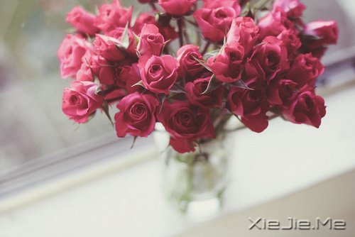 文字：我要你懂我