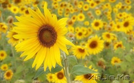 经典语录：你的世界，就是整个世界 (3)