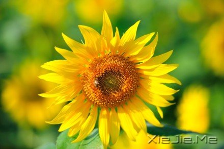 经典语录：你的世界，就是整个世界 (4)
