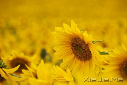 经典语录：你的世界，就是整个世界 (7)