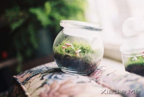 文字：临终病人最后悔的5件事