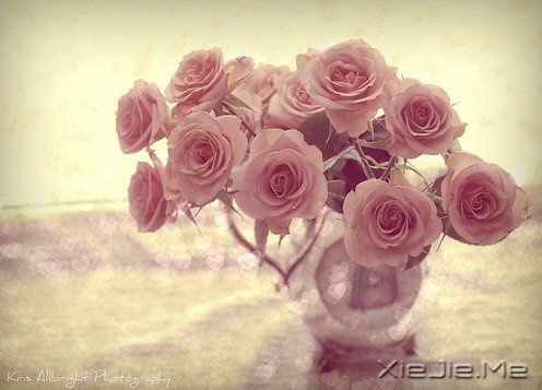 文字：什么是你做过的最漂亮的事？