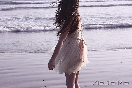 半个人，不需要两个人的阳光 (3)