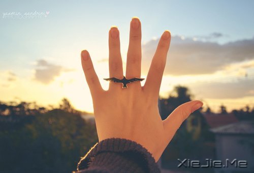 文字：卿与谁归