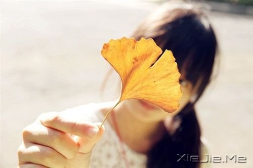 那些年，我们一起走过的青春 (1)