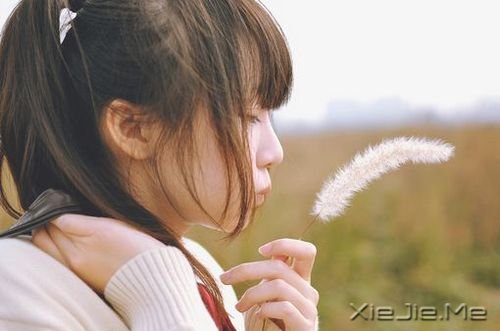 那些年，我们一起走过的青春 (3)