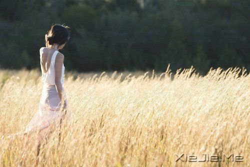 记住文字，但别记住悲伤 (5)