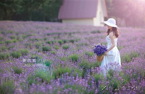 因为是女子，所以懂得 (2)